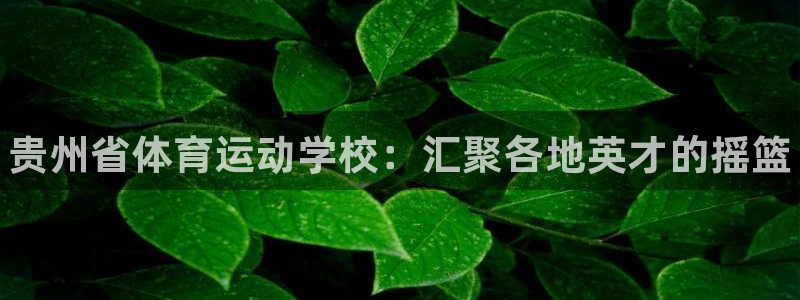 欧亿体育官方正版app官方:贵州省体育运动学校:汇聚各地英才