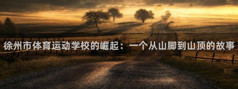 海南oety欧亿体育官网下载发展怎么样:徐州市体育运动学校的