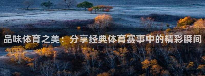欧亿体育官方平台体育:品味体育之美:分享经典体育赛事中的精彩