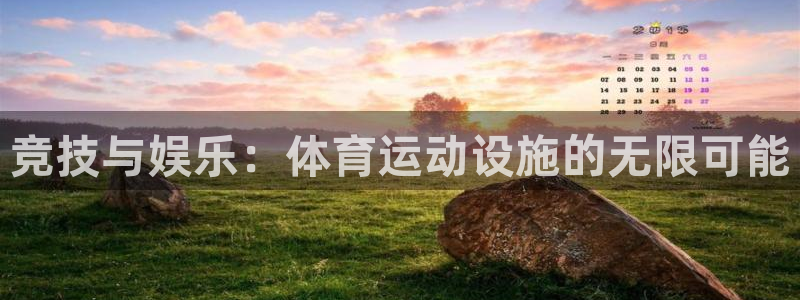 oety欧亿体育官网下载平台假的吗是真的吗吗:竞技与娱乐:体